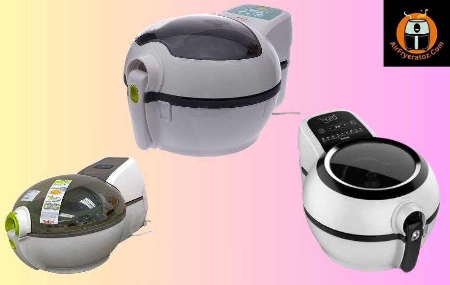 Kinds of Paddle Air Fryer