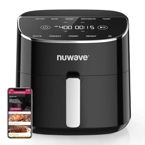 Best Non Toxic Air Fryer 2025