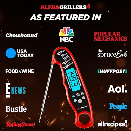 Best Meat Thermometer For Grill
