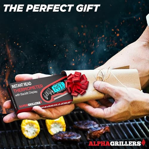 Best Meat Thermometer For Grilling