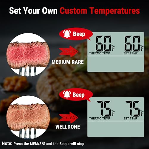 Best Meat Thermometer For Roasting