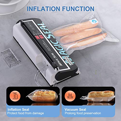 Best Vacuum Sealer For Mylar Bags
