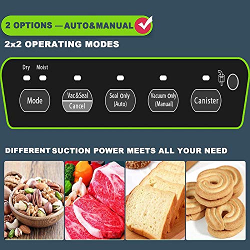 Best Vacuum Sealer For Fish