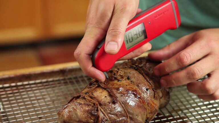 How Deep Insert Meat Thermometer