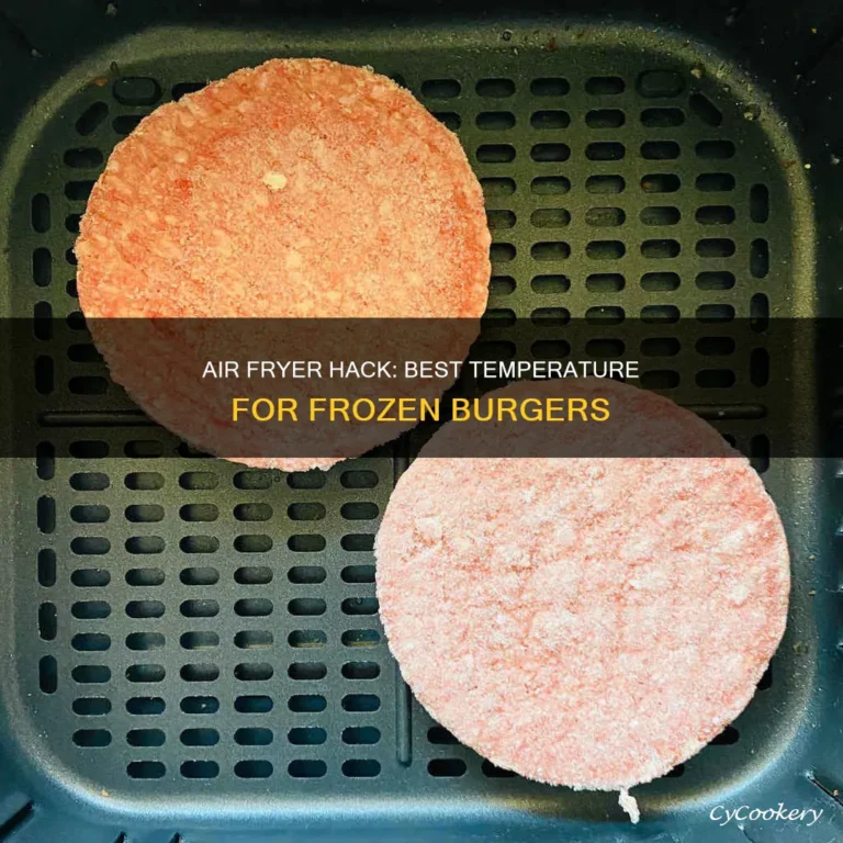 What Temp To Cook Burgers In Air Fryer